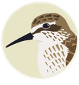 Un pájaro con un pico largo está en un círculo.