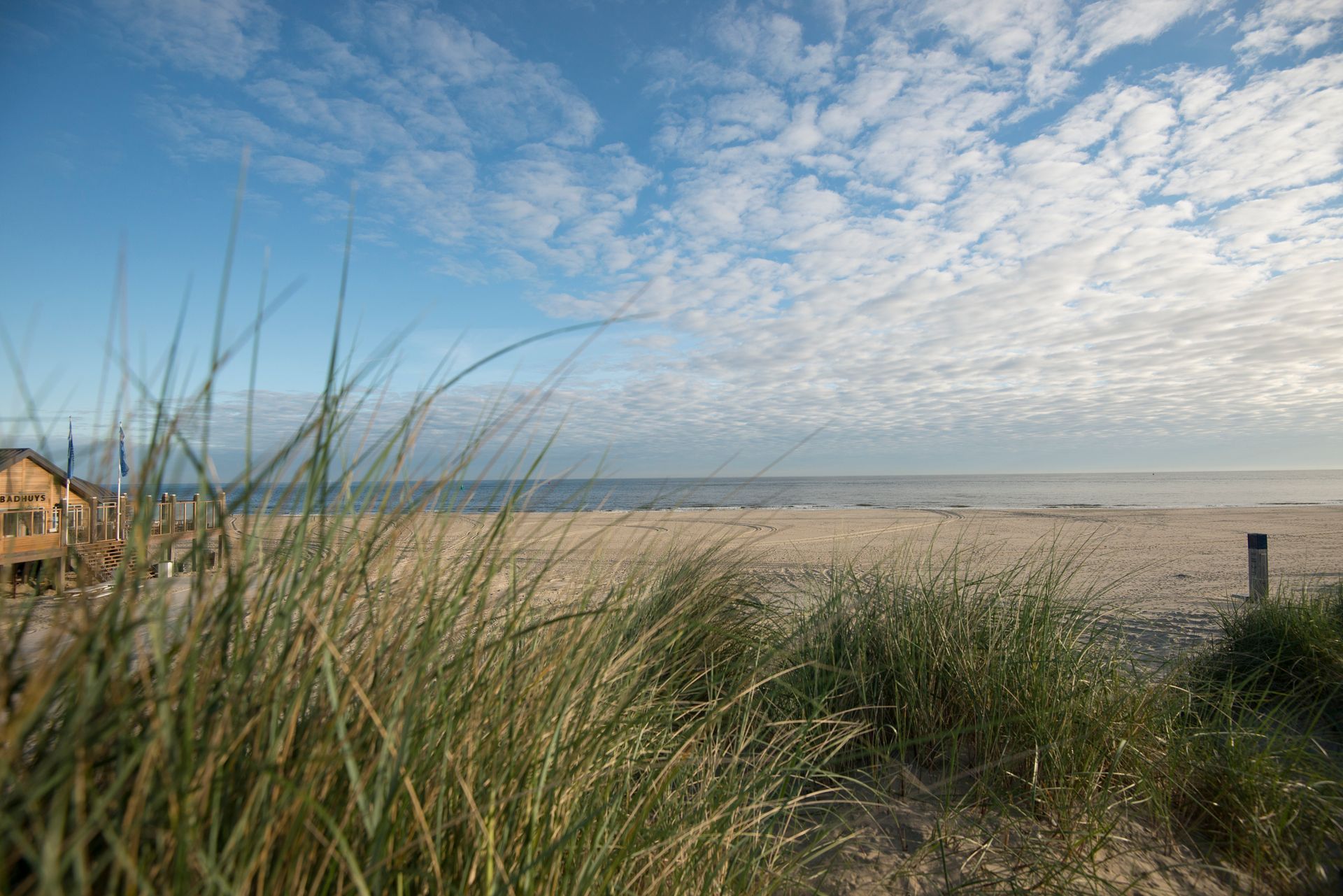 Een strand met een huis op de achtergrond en hoog gras op de voorgrond.