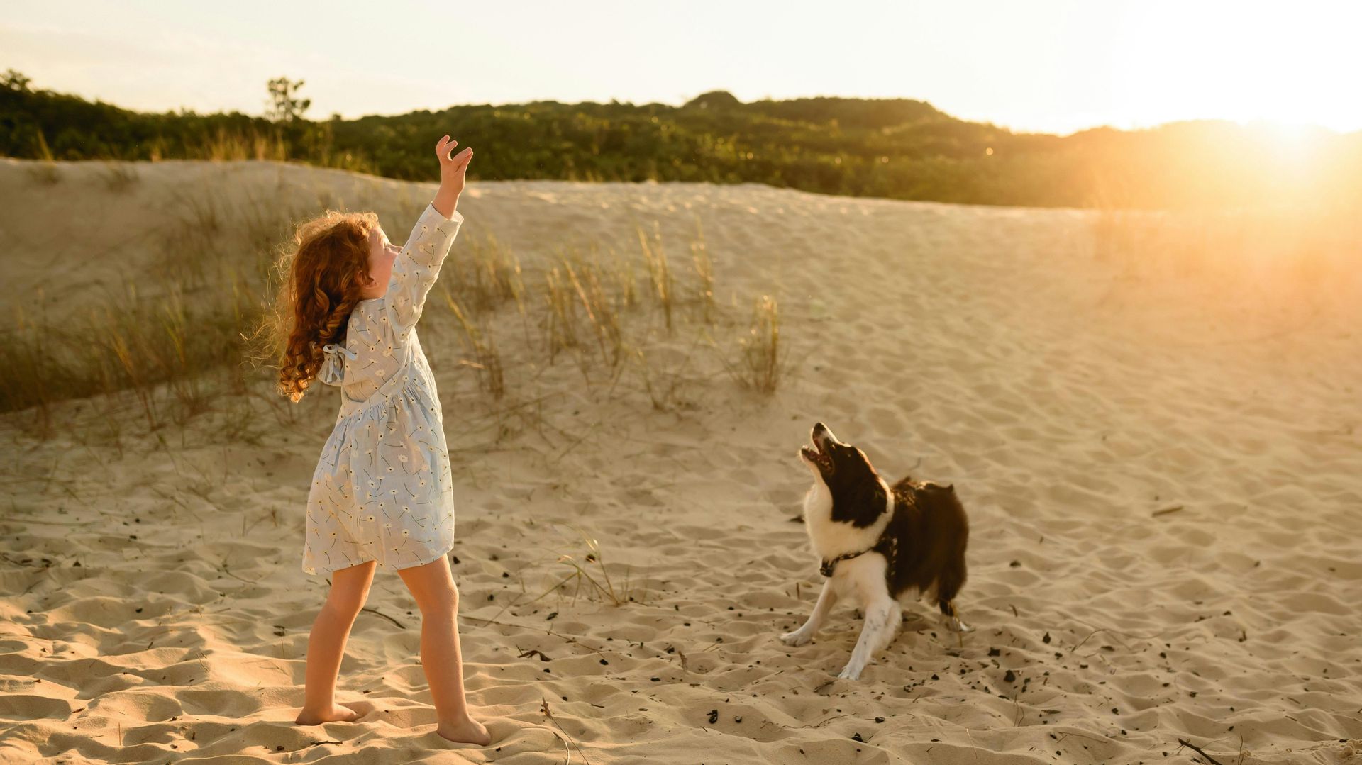 Een klein meisje speelt met een hond op het strand.