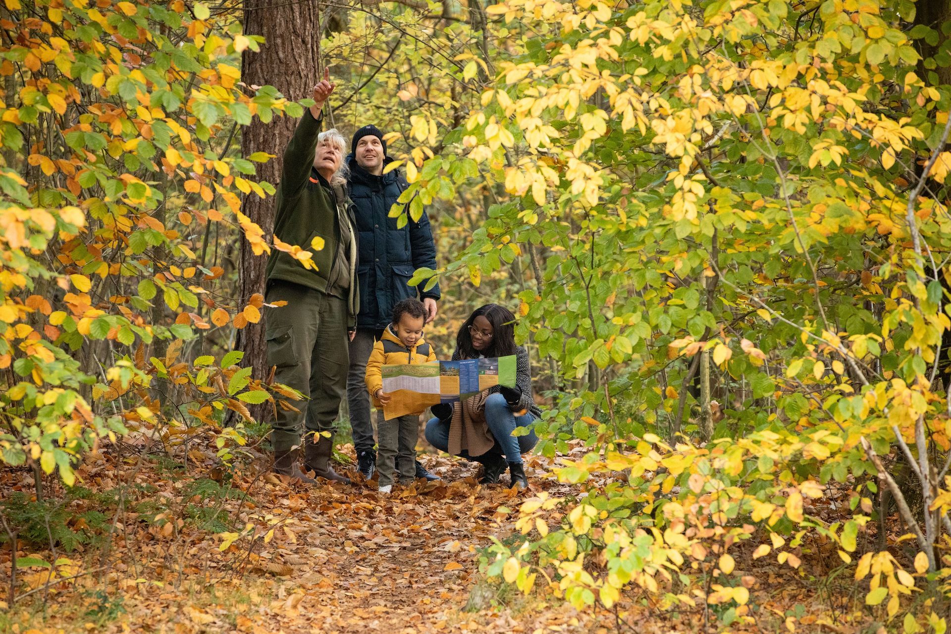 stappen in november
