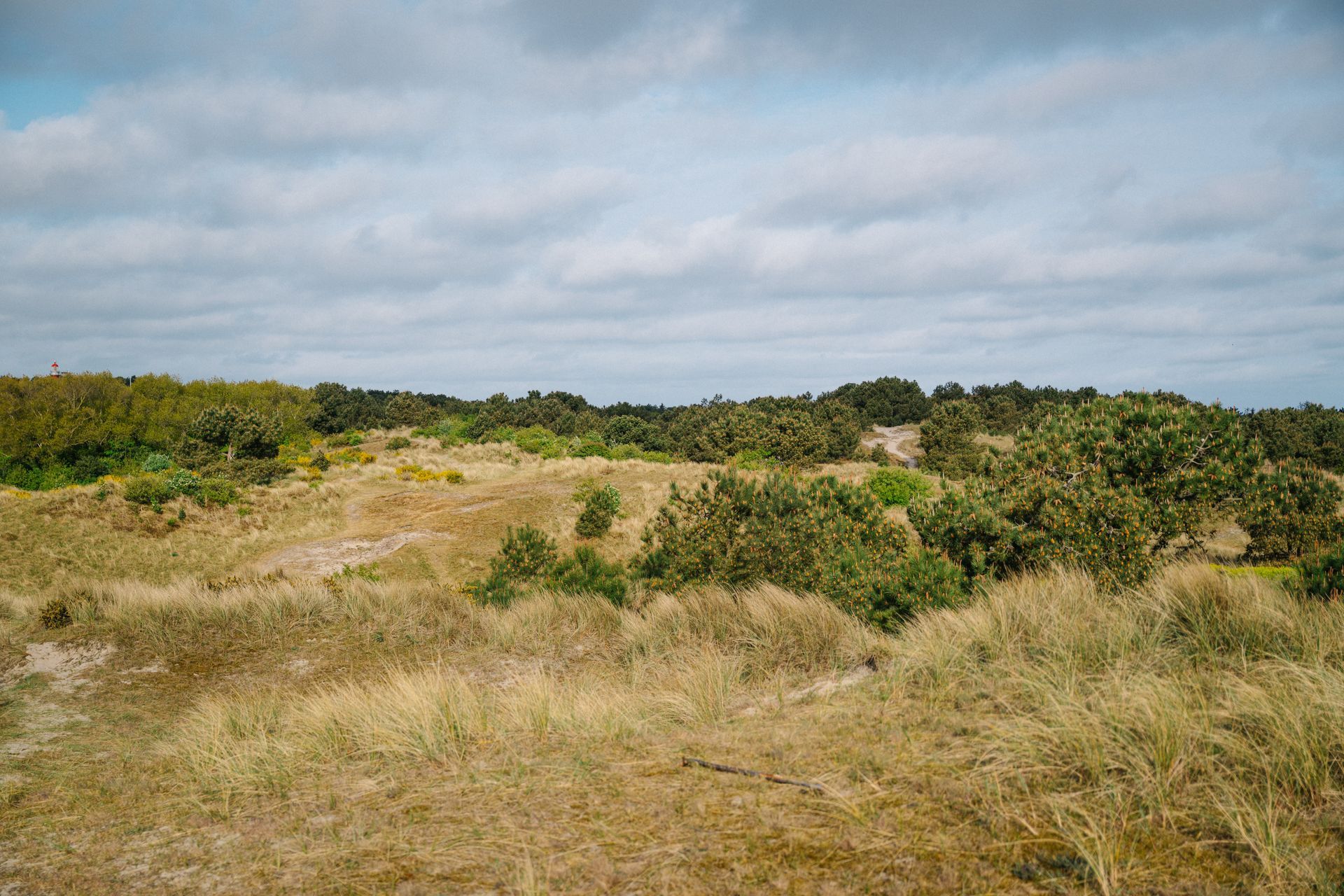 Sandy dunes with dry grass and patches of green shrubs under a cloudy sky.