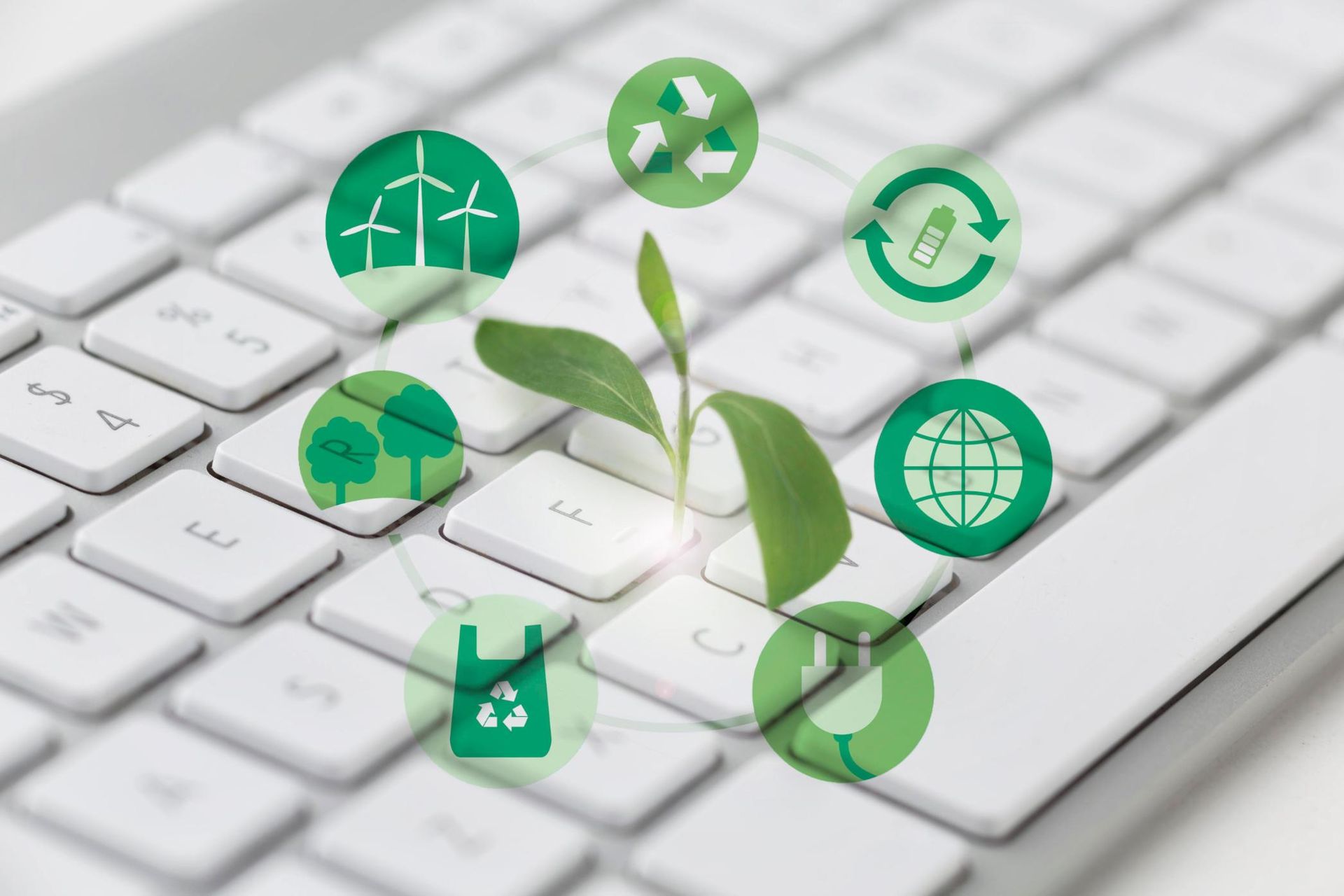 Iconos ecológicos verdes y brotes de plantas que emergen de un teclado blanco, simbolizando la sostenibilidad digital.