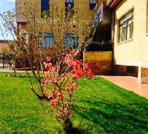 Un árbol con flores rojas frente a una casa.