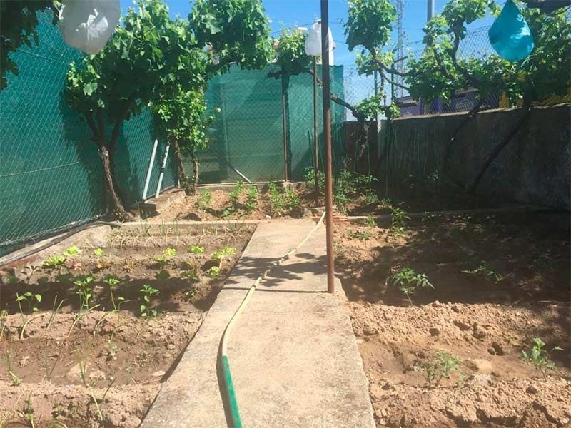 Hay una manguera en el medio del jardín.
