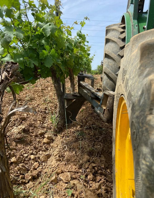Un tractor está arando un viñedo con un neumático amarillo.
