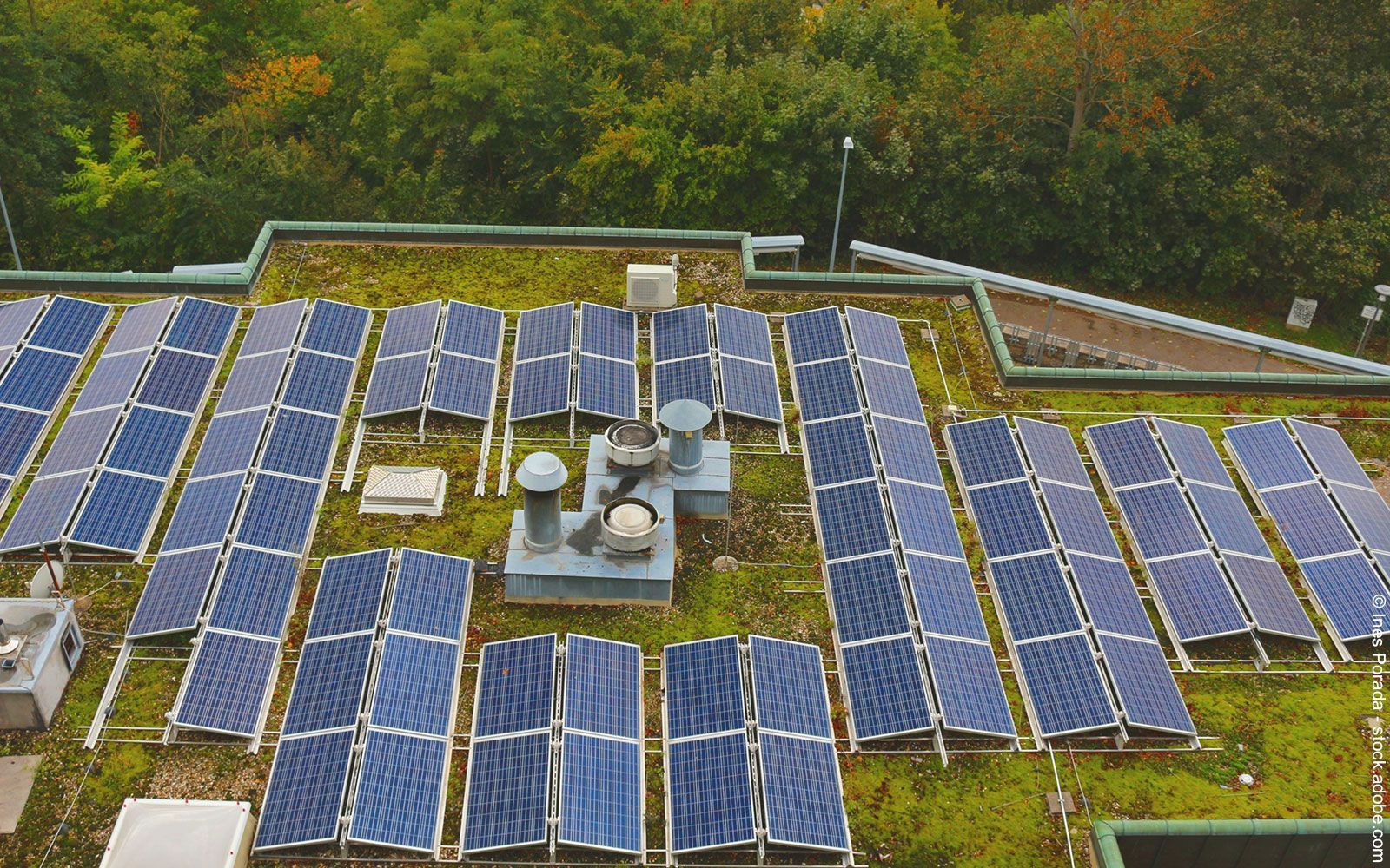 Frühjahrs-Checkliste für das Dach