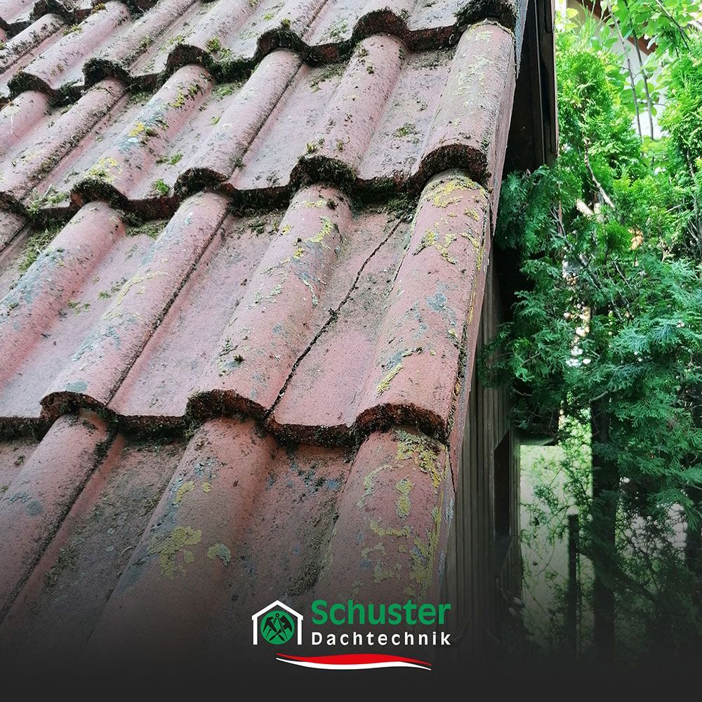 Frühjahrs-Checkliste für das Dach