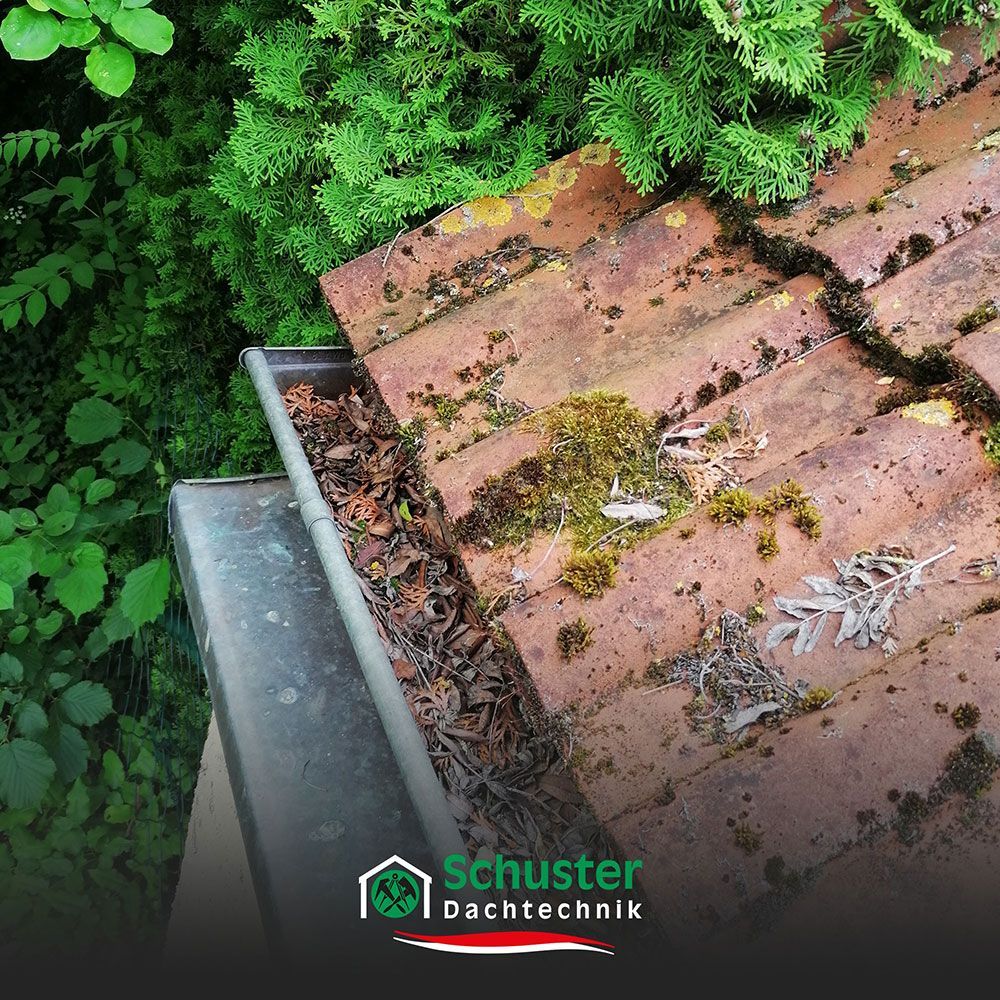 Frühjahrs-Checkliste für das Dach