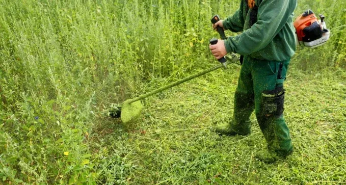 Desbroce en solares urbanos y mantenimiento de fincas para comunidades en Burgos