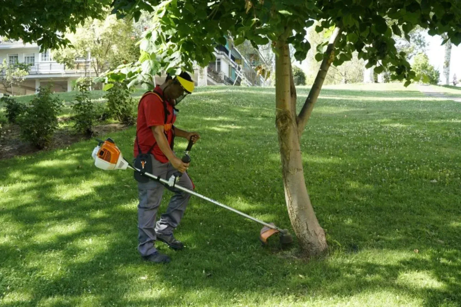 Tareas de desbroce de maleza y limpieza de solares y parcelas en Aranda de Duero
