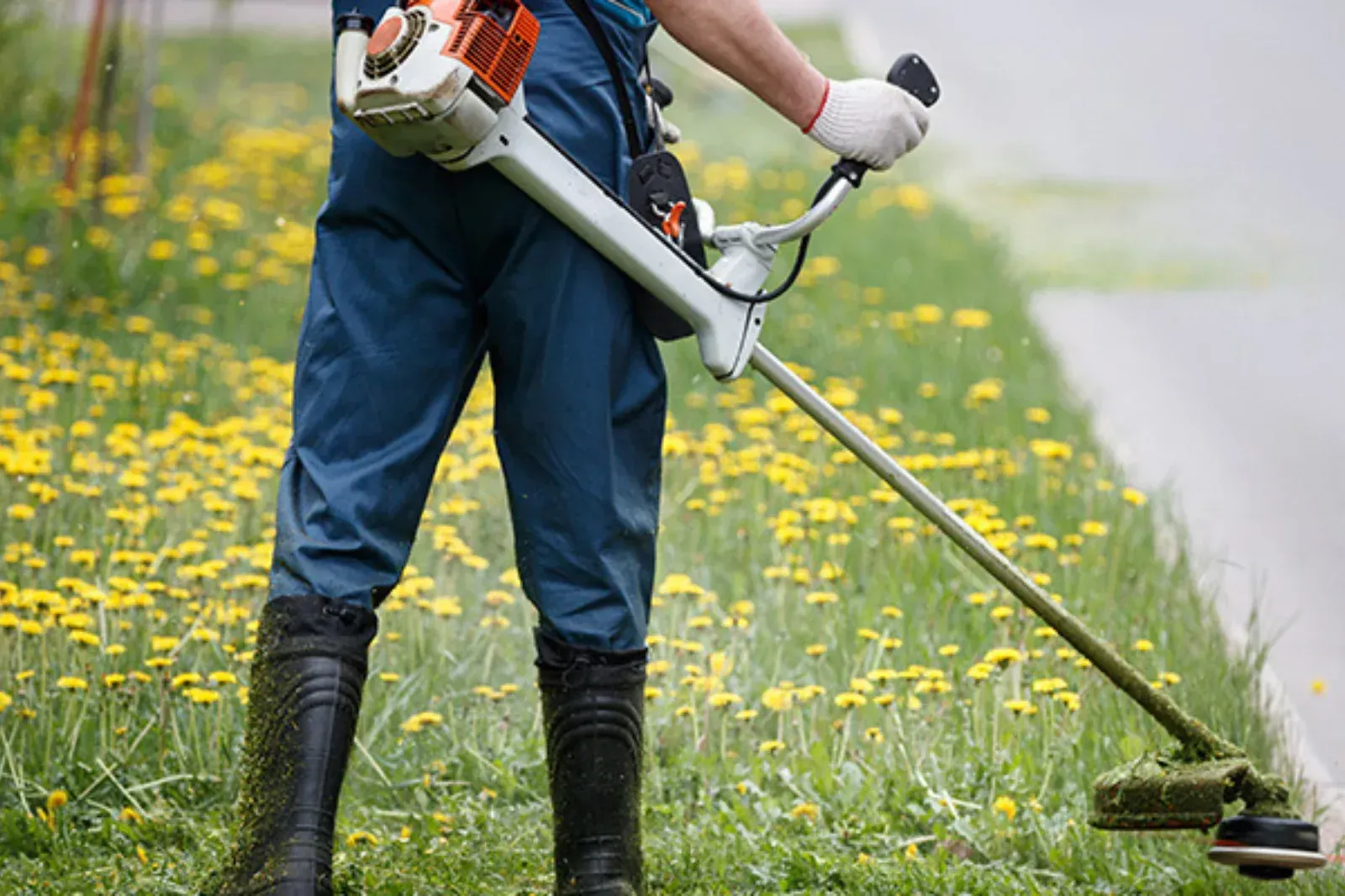 Limpieza profunda y desbroce de maleza en Briviesca.