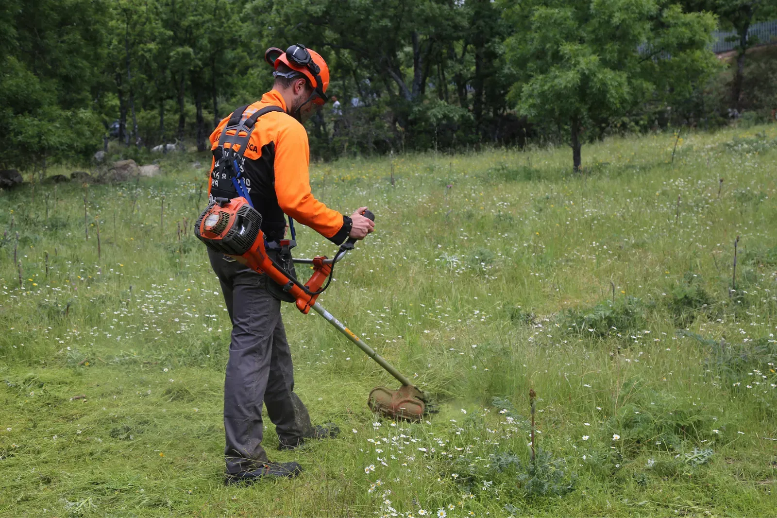 Desbroce de maleza y limpieza profunda en una parcela en Burgos