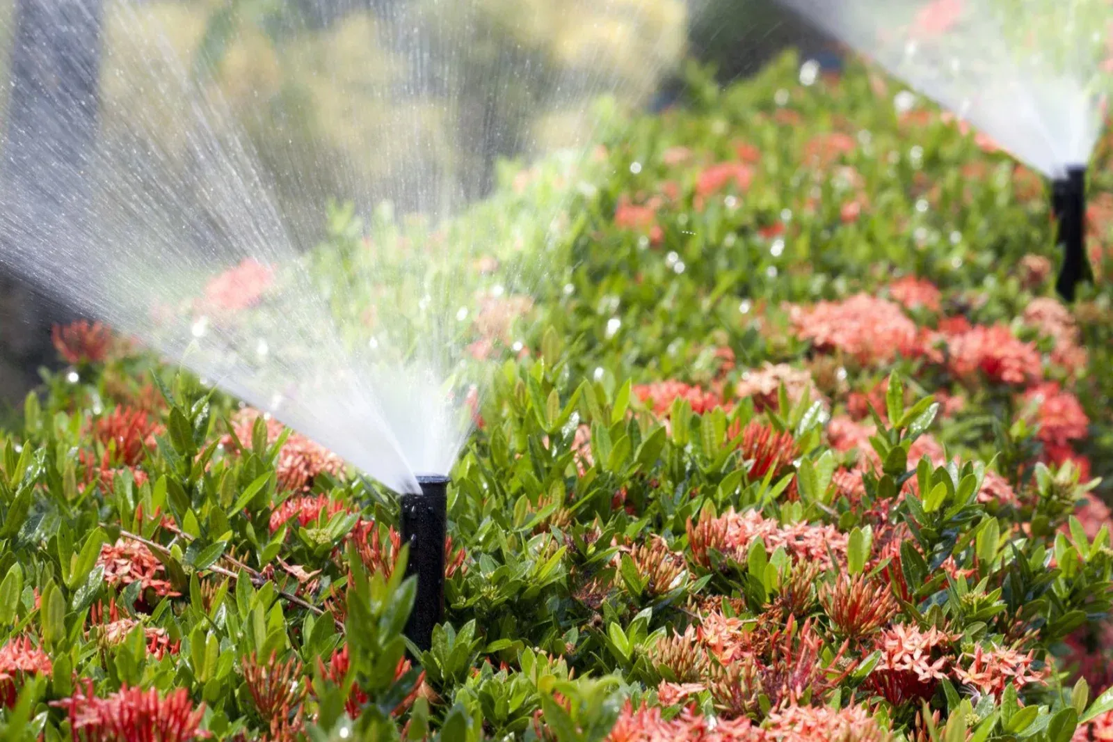 Reparación técnica de averías e instalación de sistemas de riego automático en Briviesca