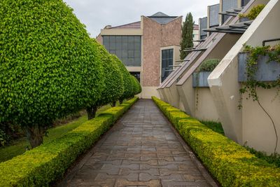 diseño y paisajismo en Burgos
