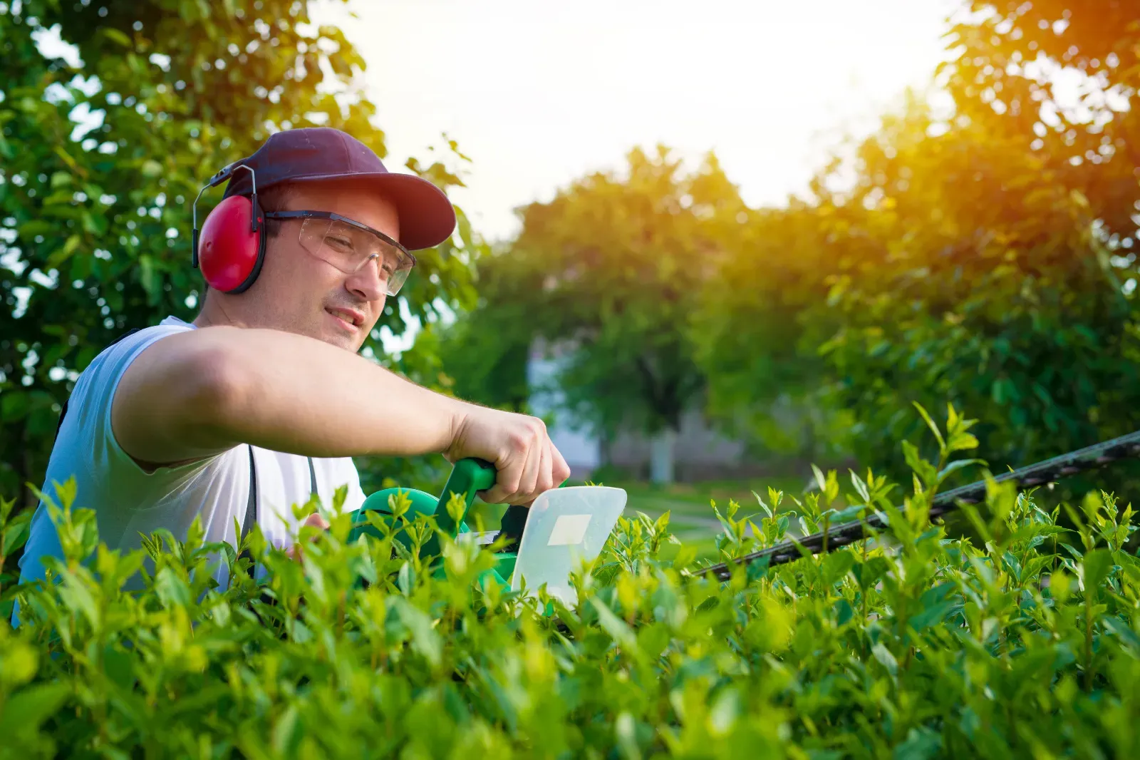 Especialista realizando poda y recorte perfilado de setos en Burgos