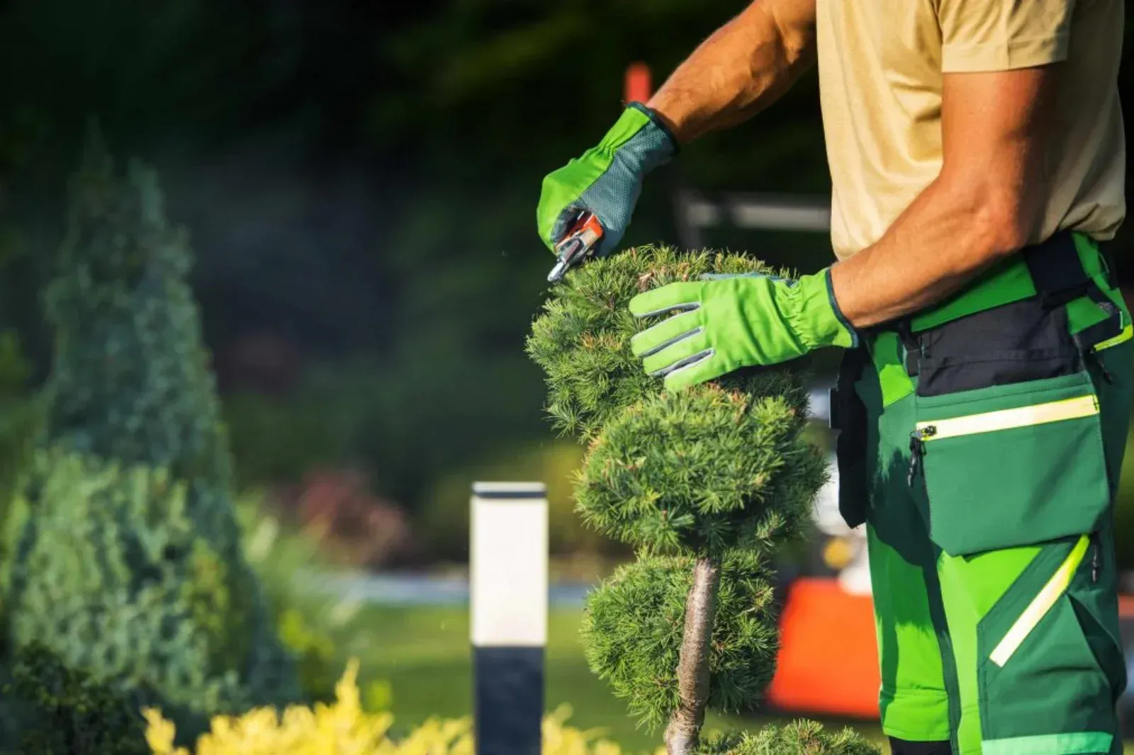 Trabajos de poda, tala de árboles y perfilado de setos en Miranda de Ebro