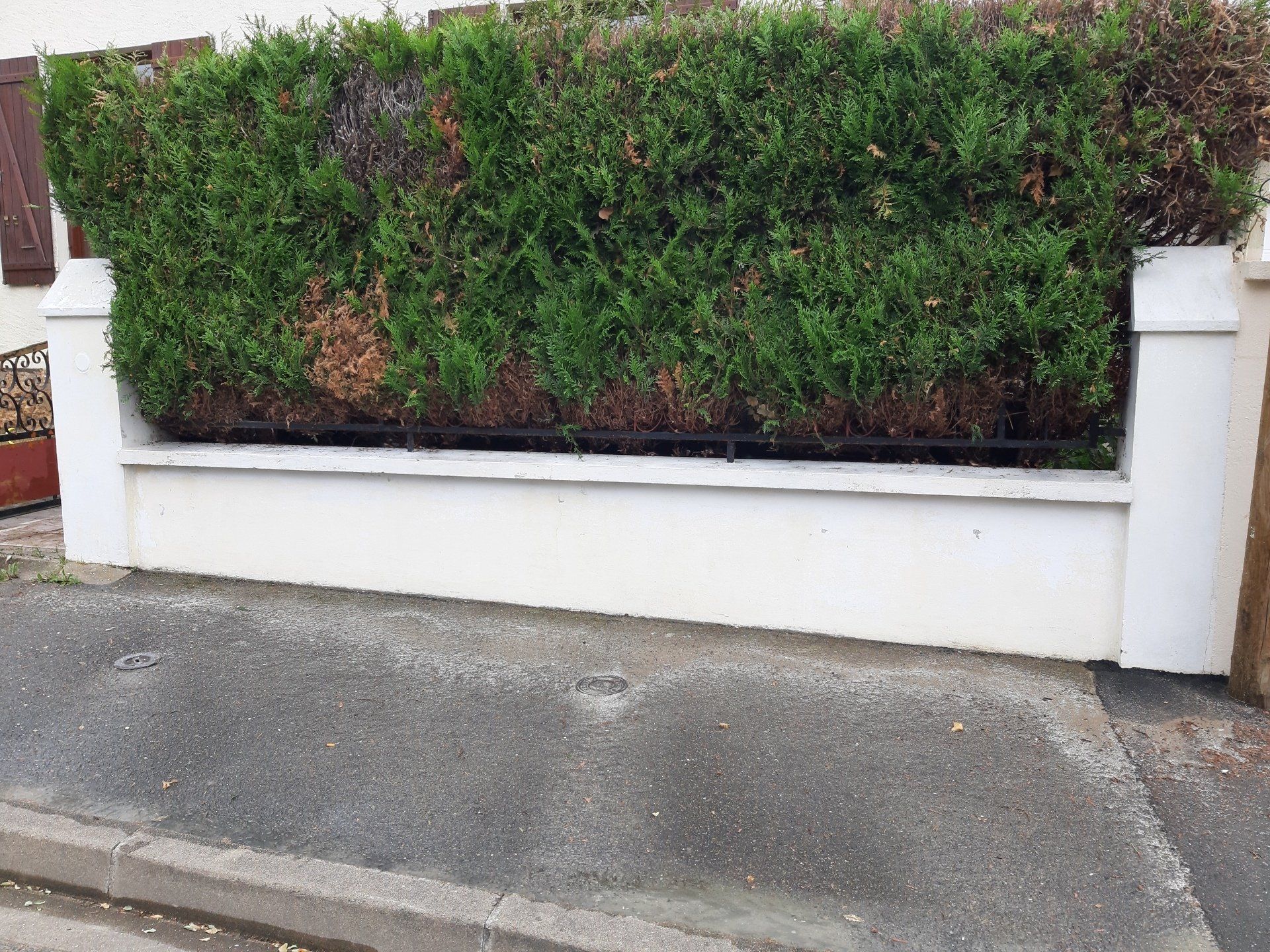 Mur blanc avec haie verte, garde-corps en métal noir, rue.