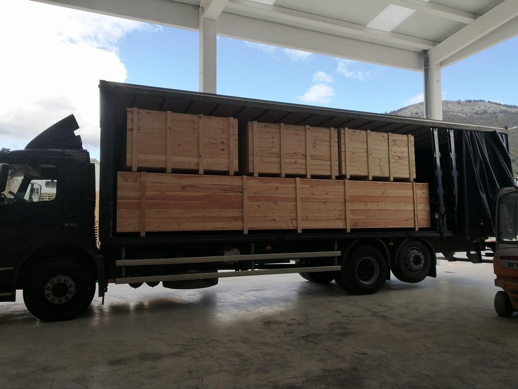 Camión cargado con cajas de madera bajo un techo blanco, cielo azul visible.