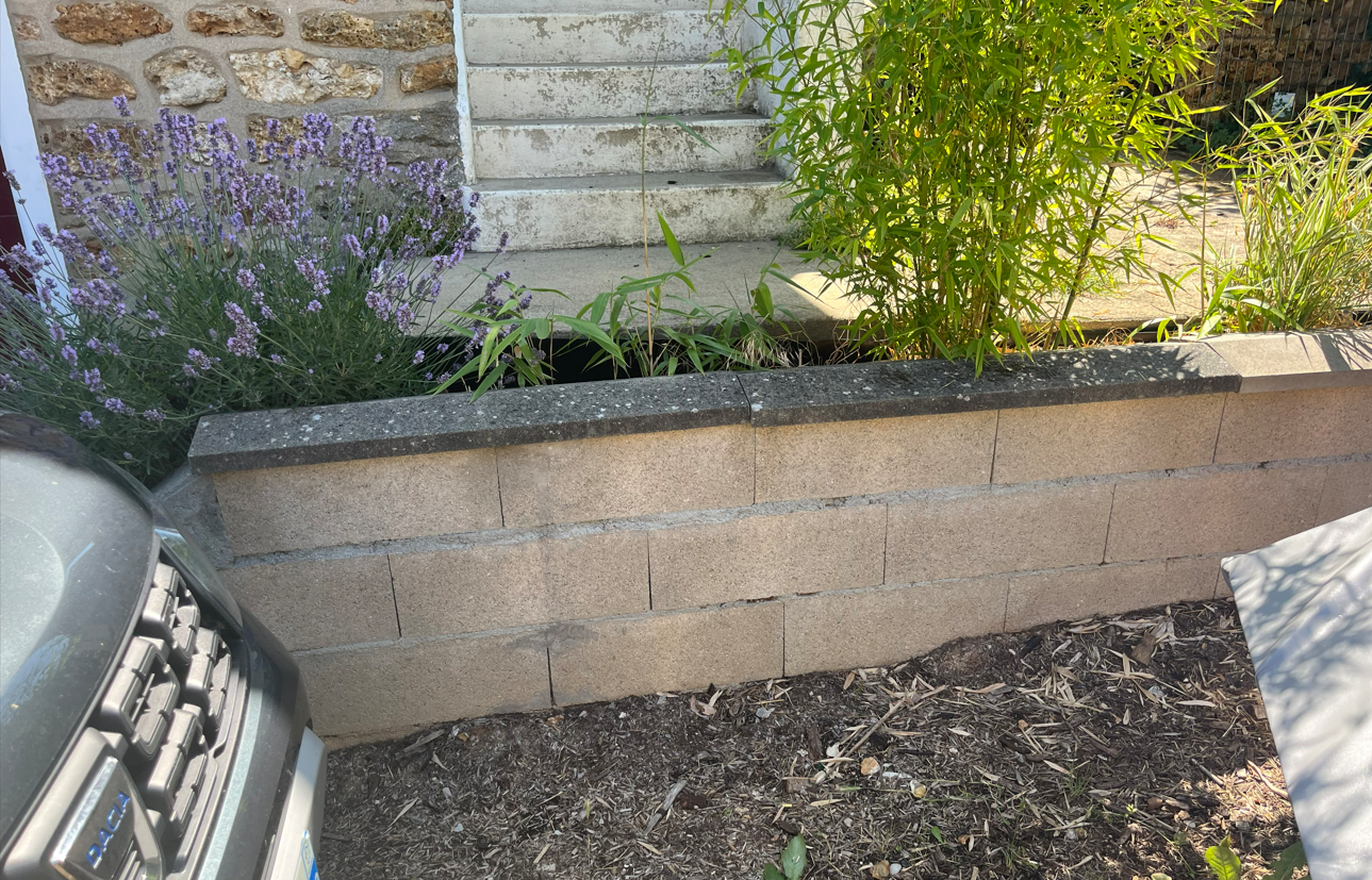 Petit mur en pierre après remise en état