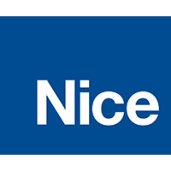 Logo Nice