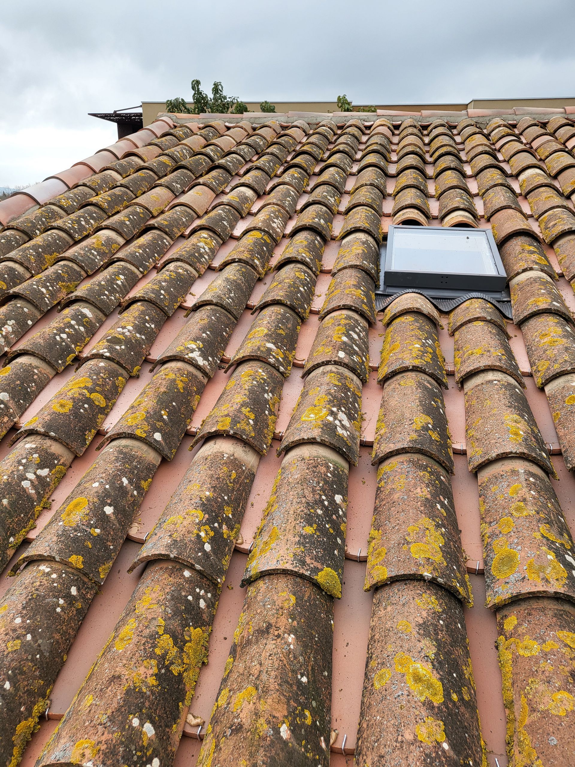 Fenêtre de toit avec de la mousse