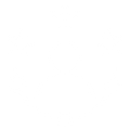 Icon Expertise