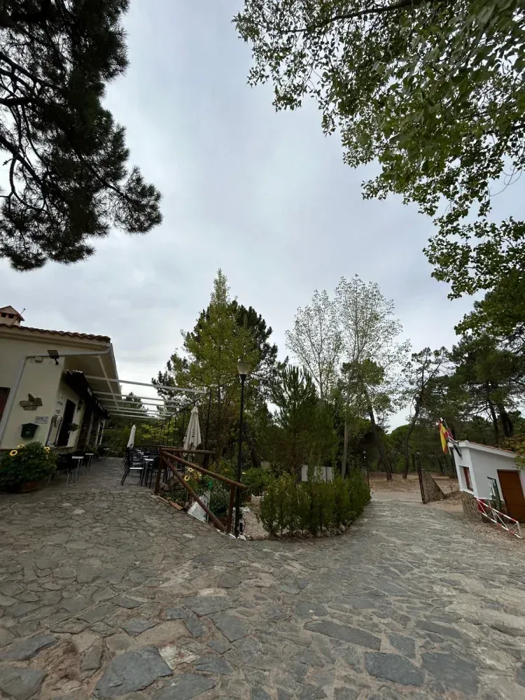 El camino de piedra se curva hacia edificios y árboles bajo un cielo nublado.