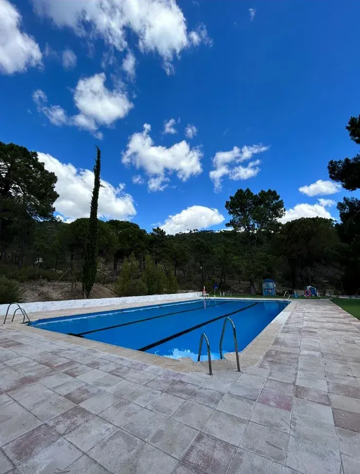 Piscina al aire libre con agua azul y carriles marcados, rodeada de árboles y un cielo nublado.