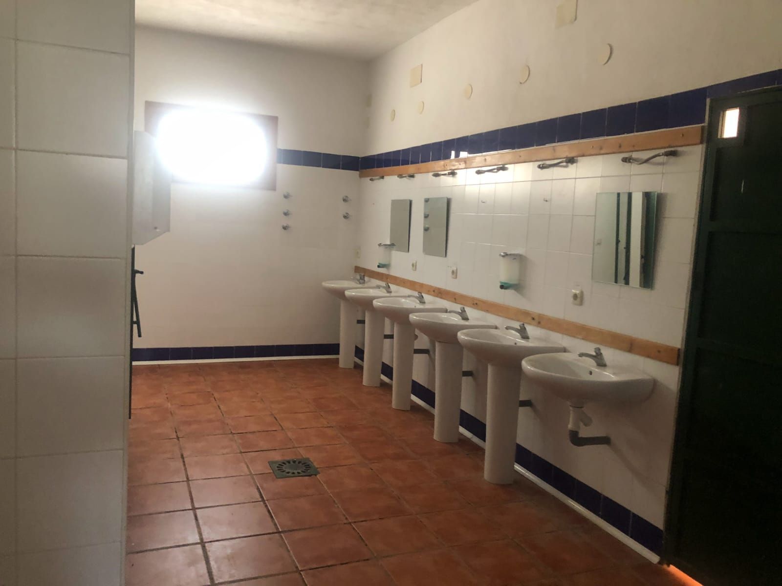 Baño público con paredes y pisos de azulejos, múltiples lavabos con pedestal y espejos.
