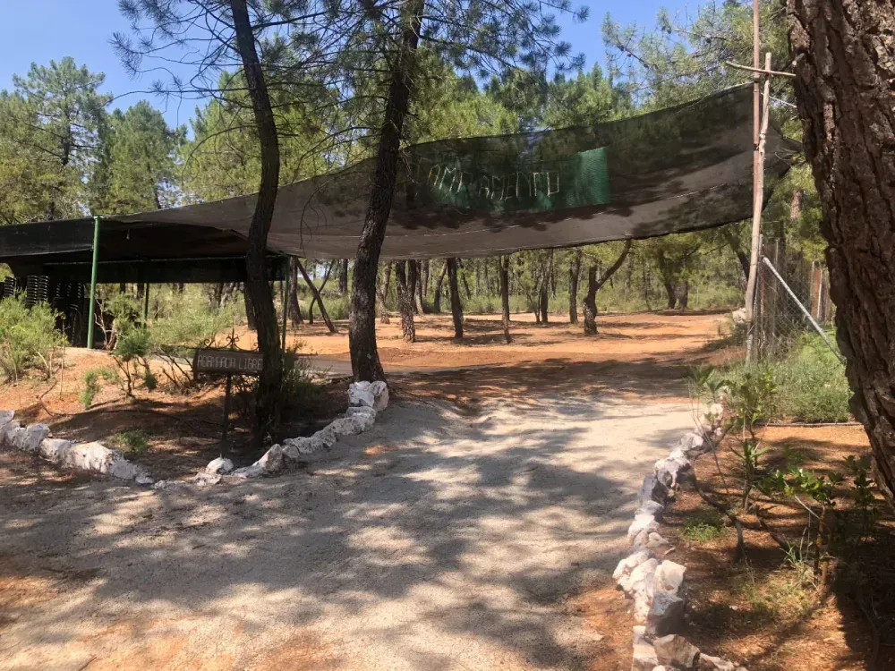 Zona exterior con sombra y sendero. Una red cubre una estructura de madera.