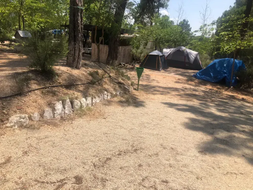 Camping con tiendas de campaña y suelo de grava, con árboles al fondo. Día soleado.