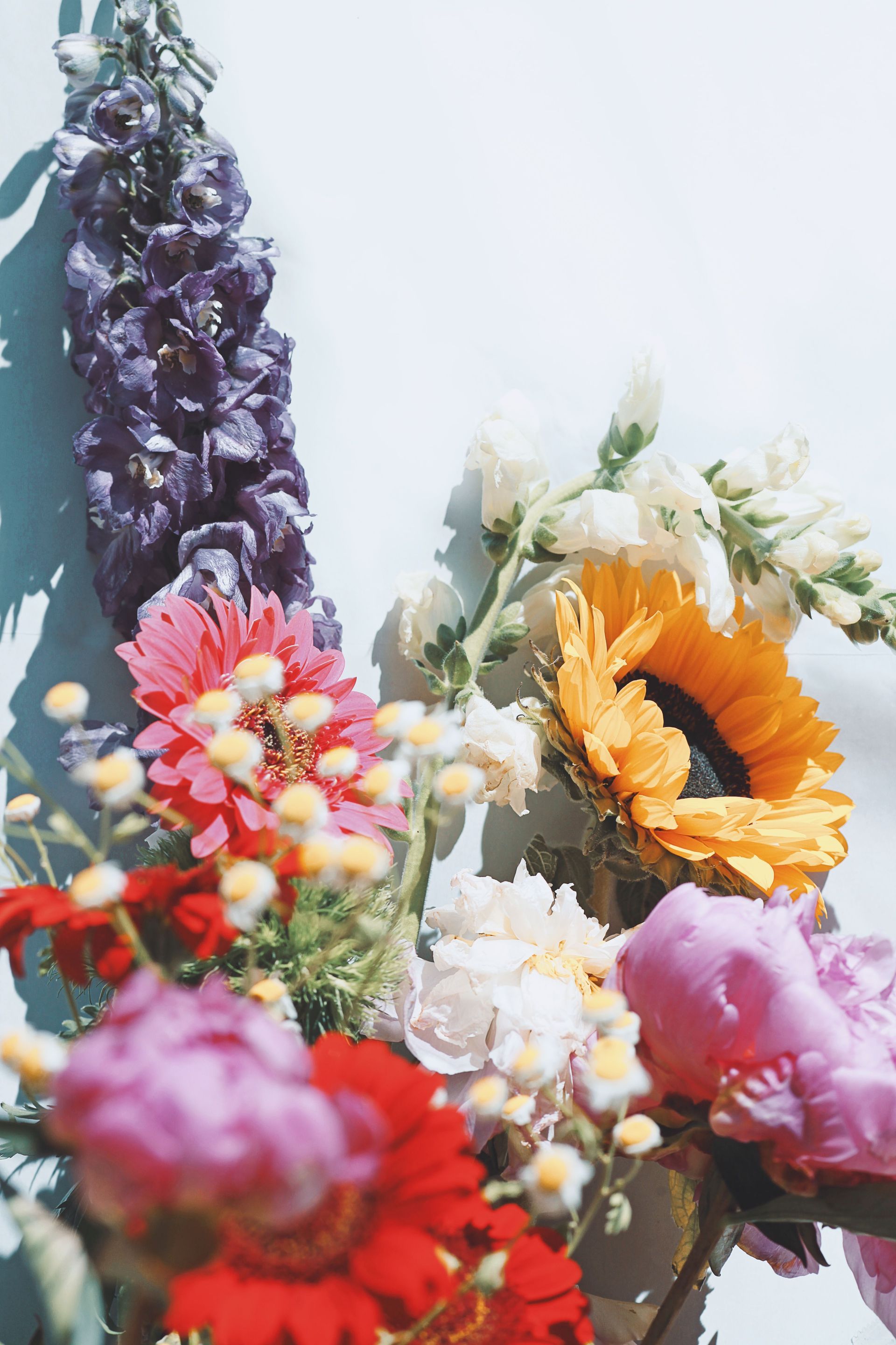 Bouquets de fleurs colorées avec des tournesols, des marguerites et des fleurs violettes sur fond clair