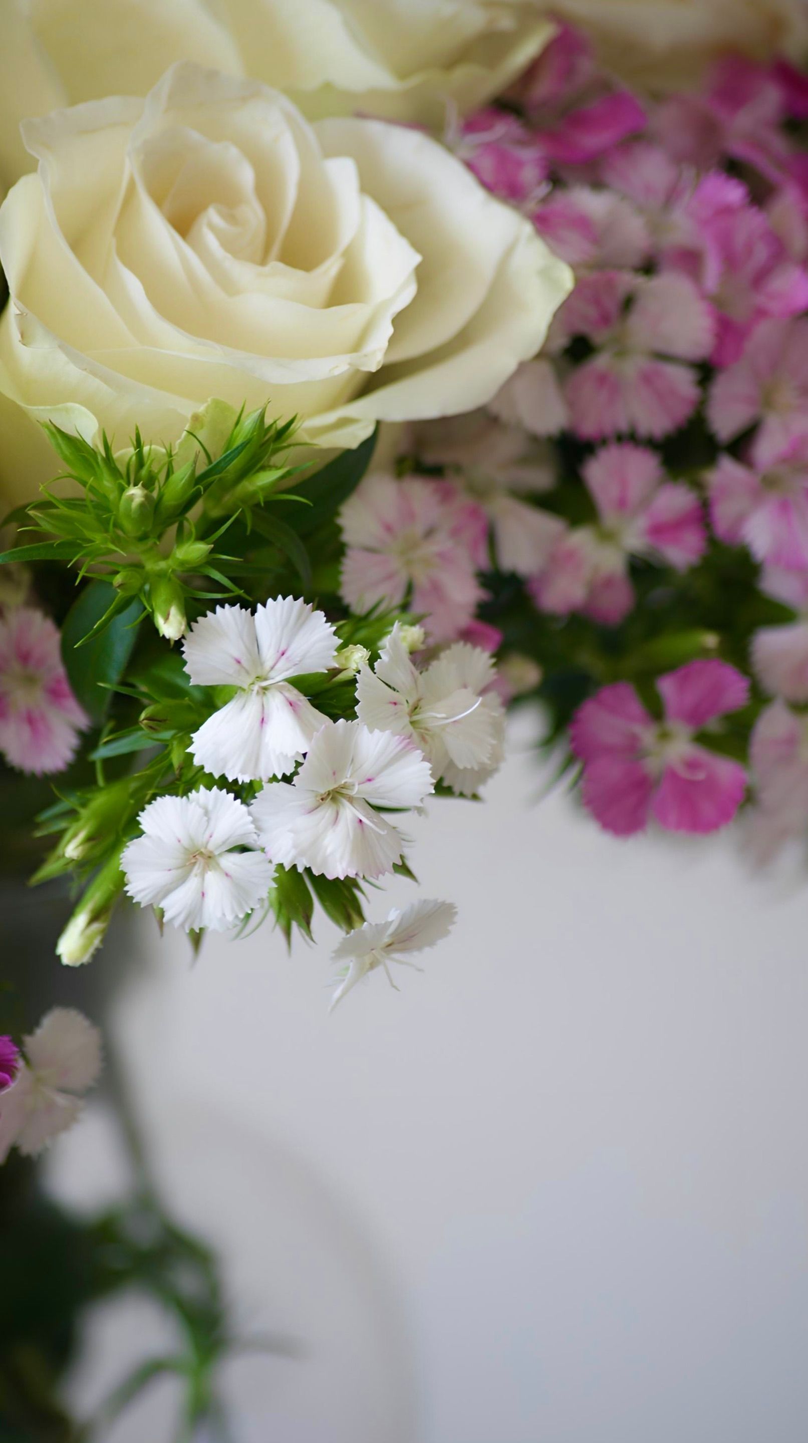 Rose blanche avec des fleurs roses et blanches dans un vase