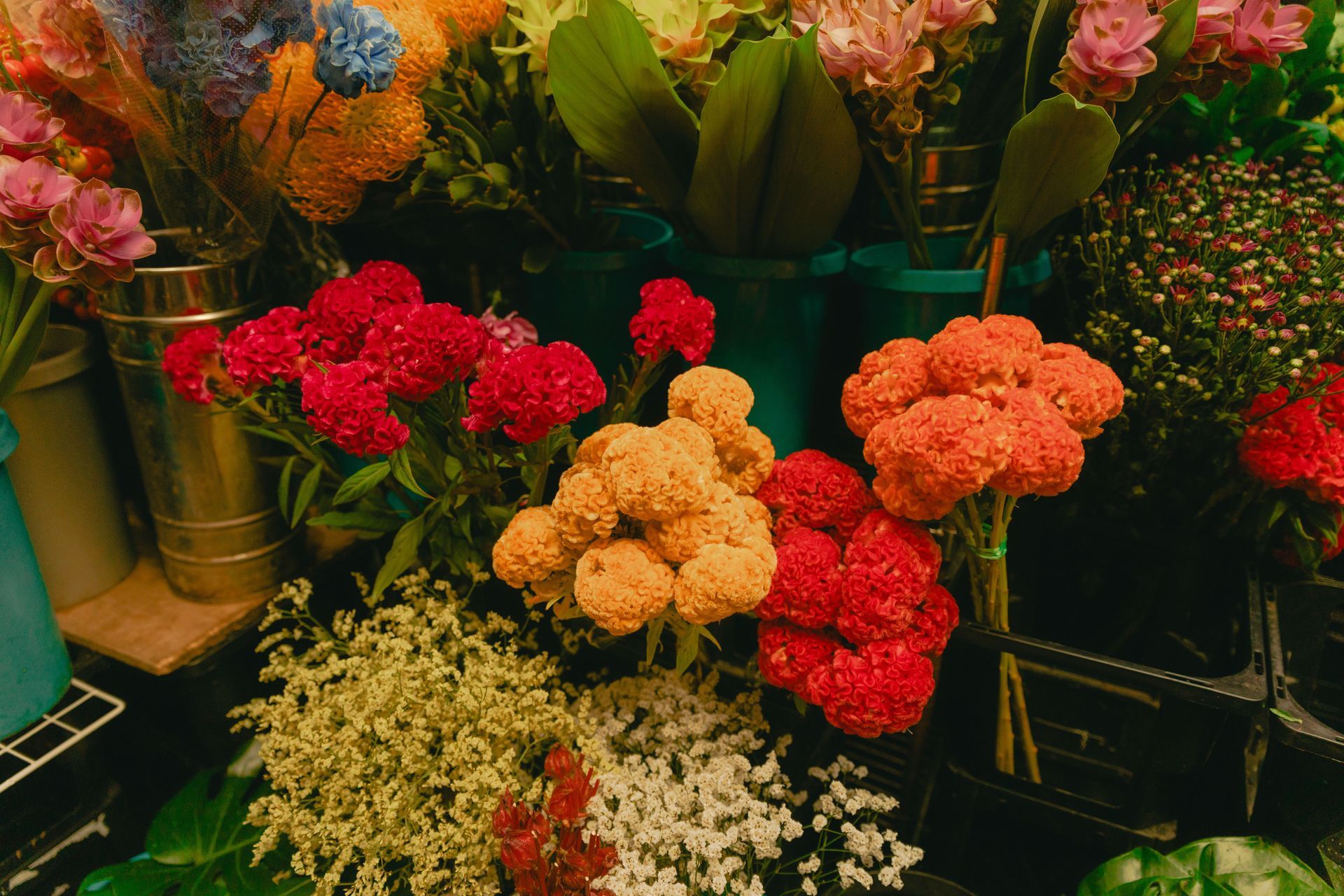 Un étalage lumineux de fleurs colorées en bouquets, comprenant des fleurs rouges, oranges et blanches.