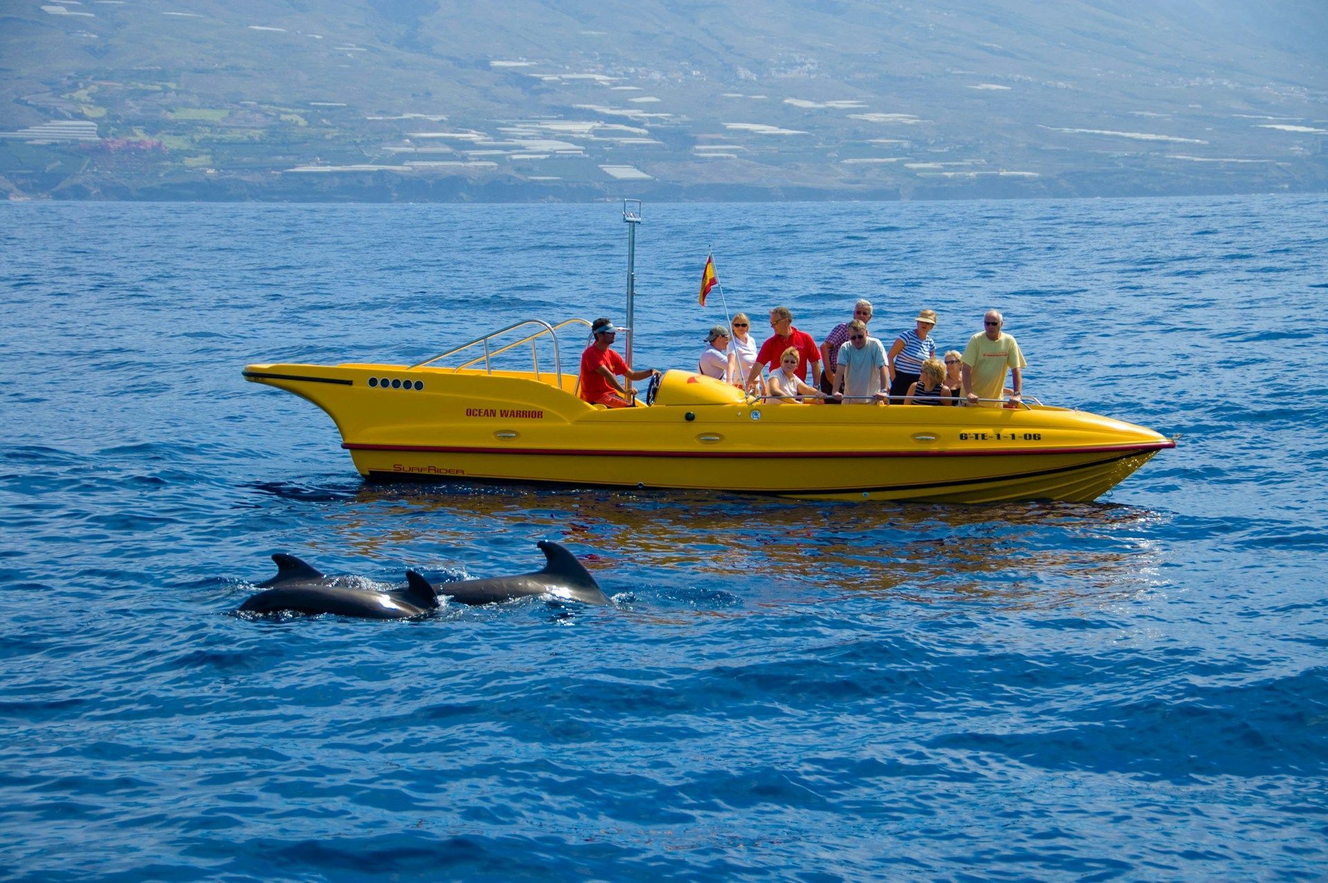 Boot mit Touristen zum Whale Watching auf Teneriffa