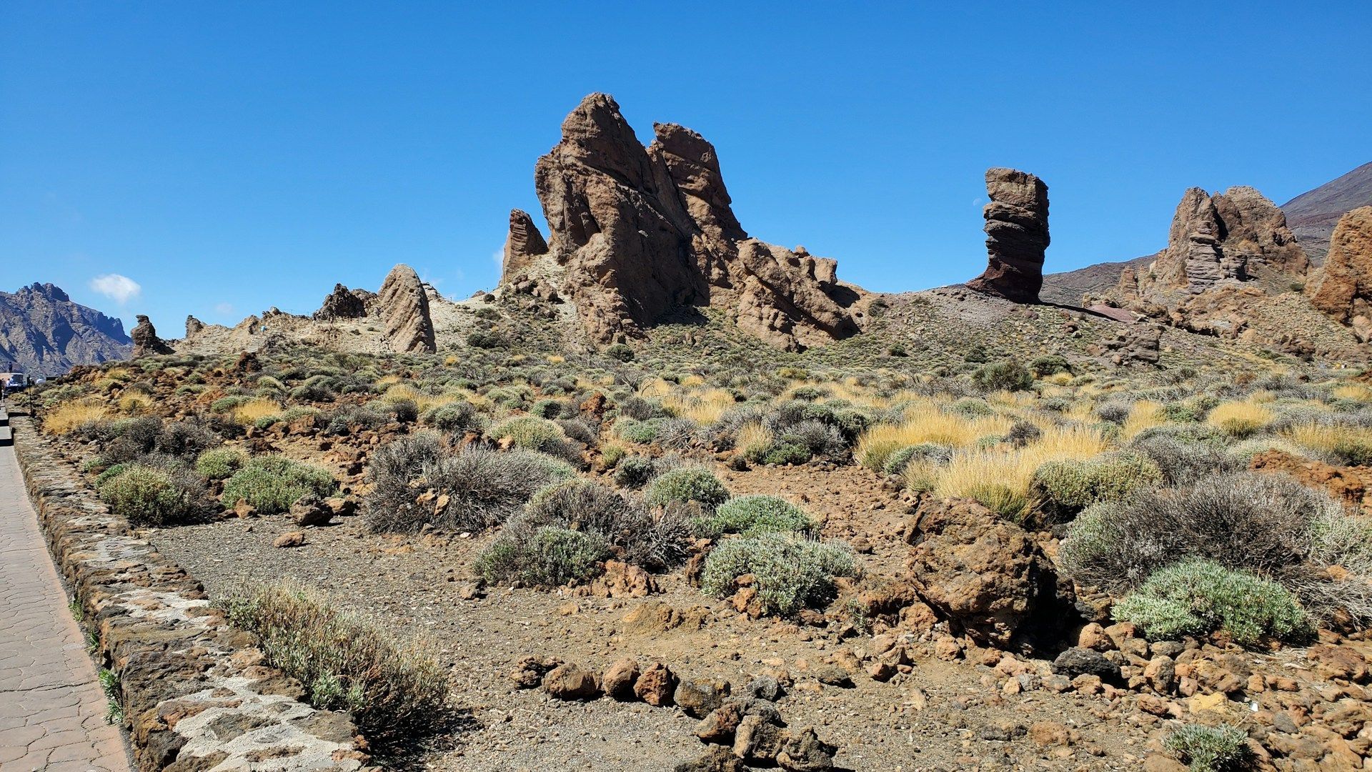 Orotava-Tal mit Kakteen und Steinen bei sonnigem Wetter