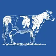 Una vaca blanca y negra está parada en la hierba sobre un fondo azul.