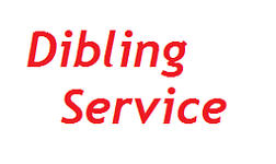 Logo Dibling Service