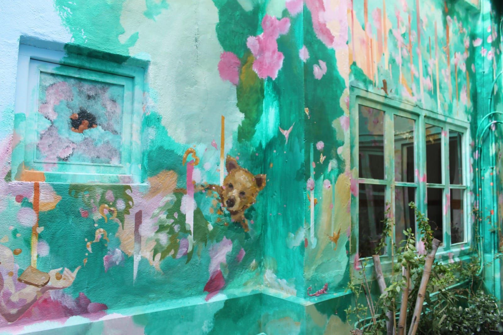 Pared turquesa con pintura descascarada, flores rosas y un perro asomándose por una pequeña ventana junto a ventanas más grandes.