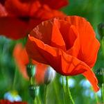 Psychologue à Chahaignes