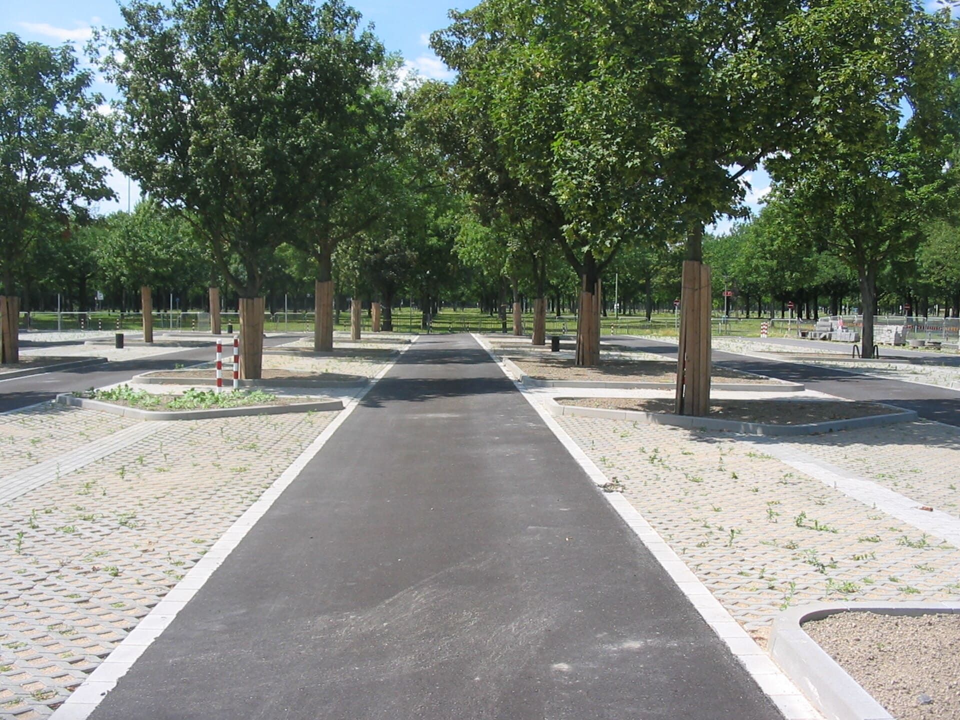 Ein Weg in einem Park mit Bäumen auf beiden Seiten