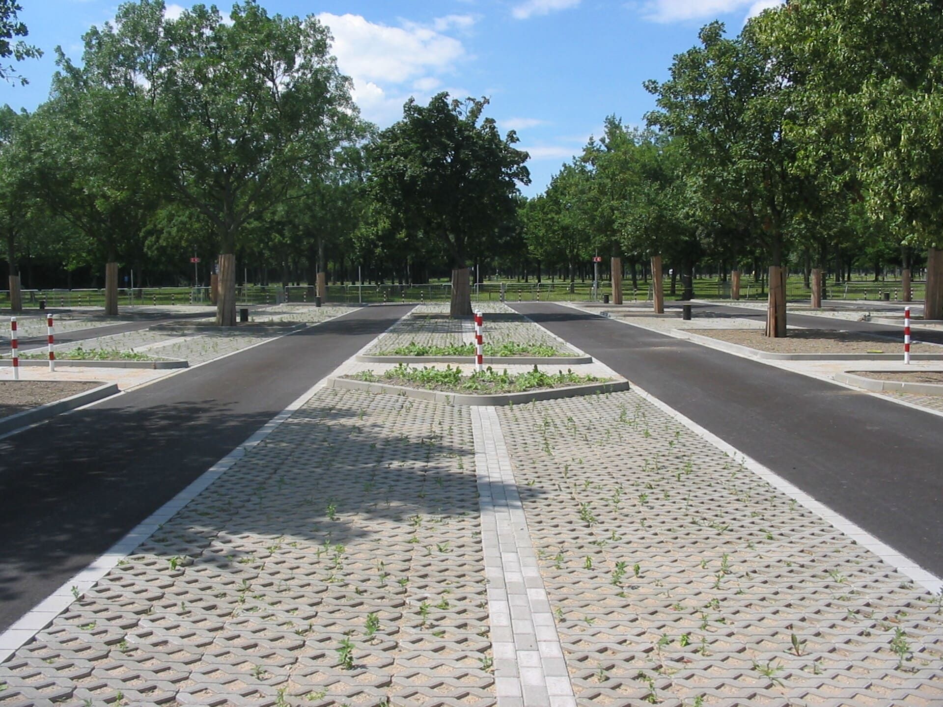 Eine Reihe von Bäumen am Straßenrand