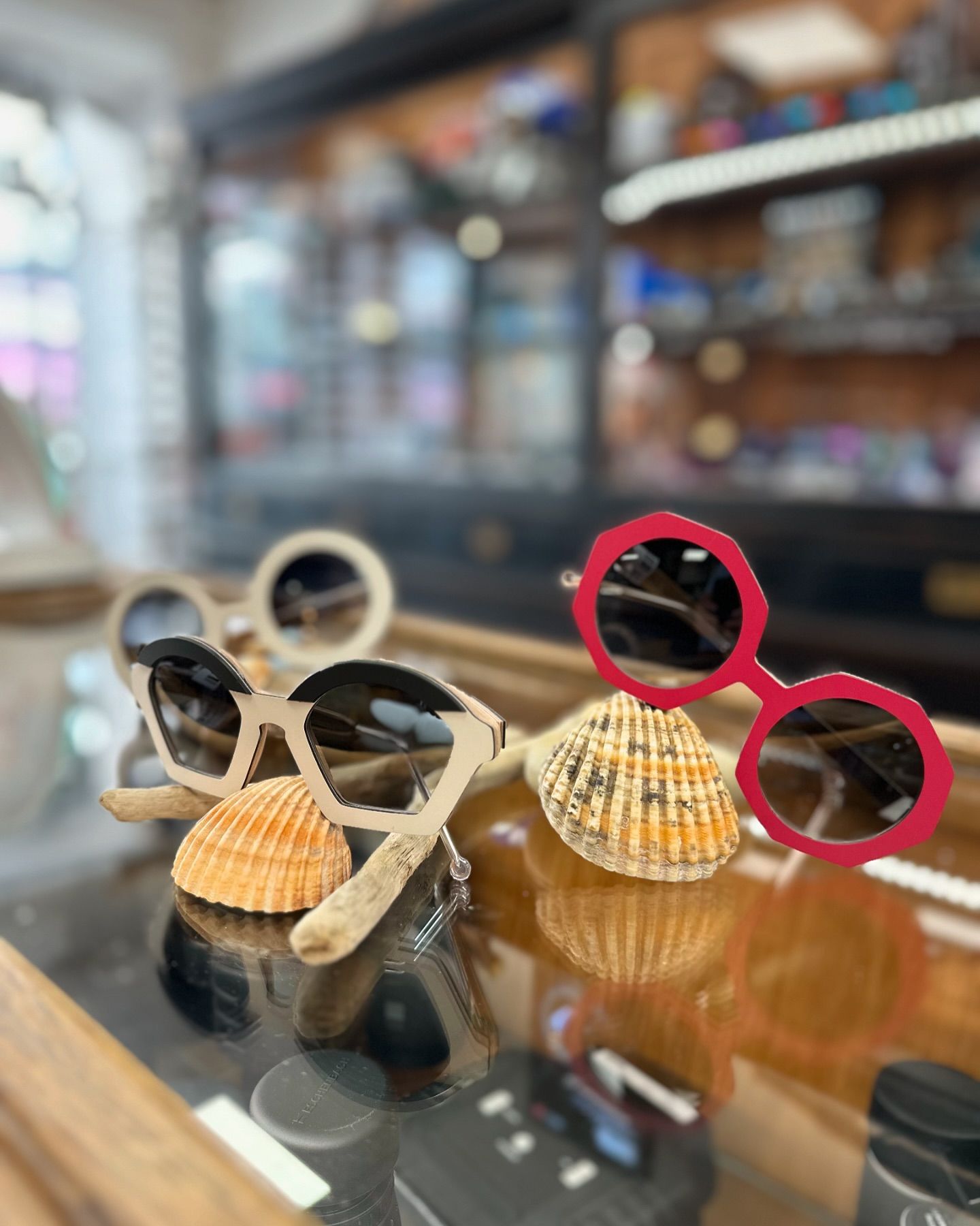 Des lunettes de soleil présentées sur des coquillages.