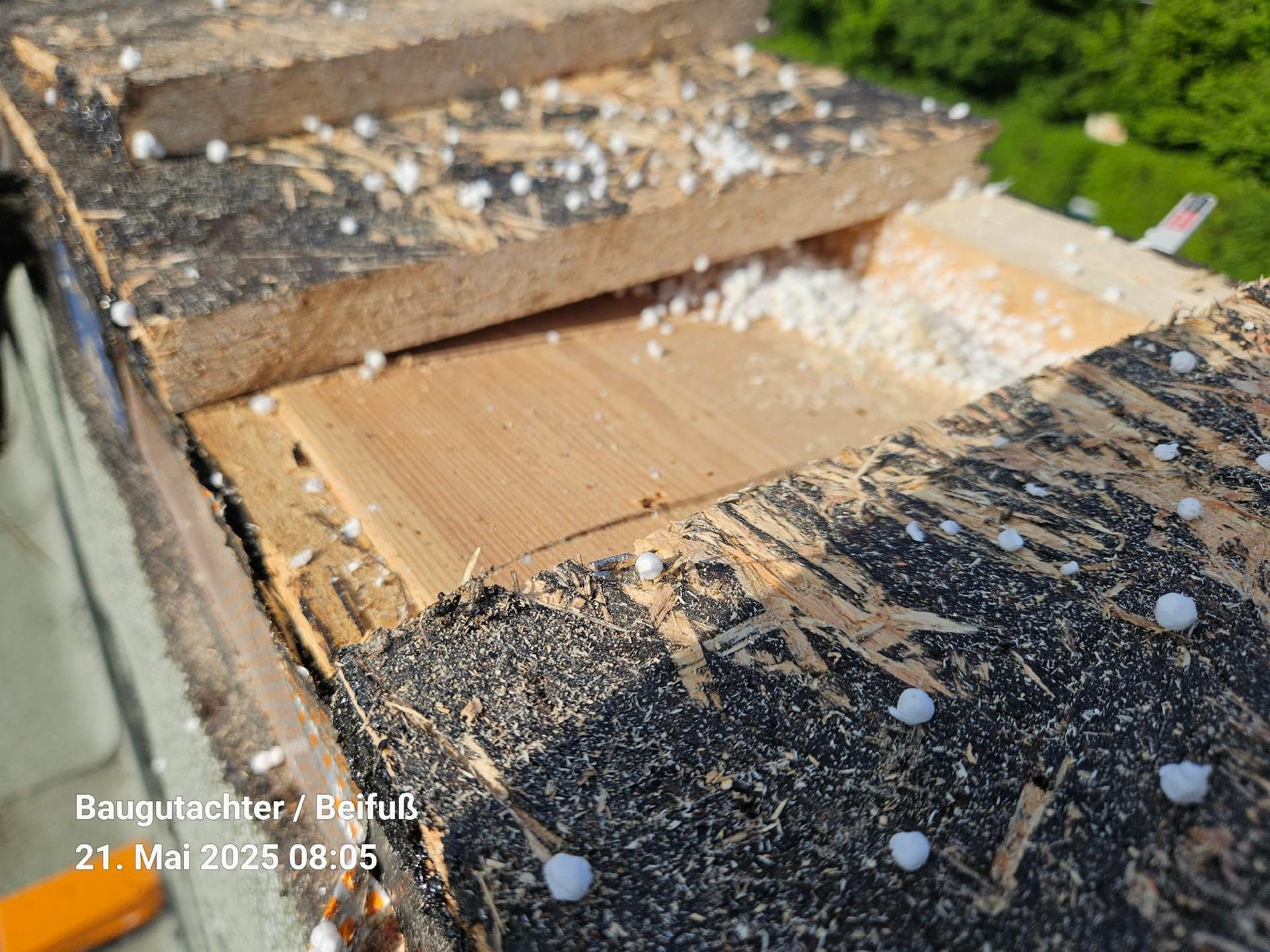 Bau-Experte Bauschäden und Baumängel in Freising. Eine Nahaufnahme eines Stücks Holz. Baugutachter für Bauschäden und Baumängel in Freising.