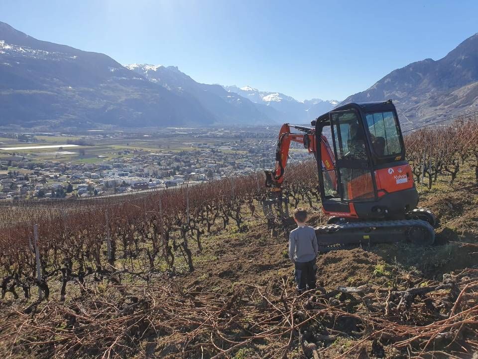 Une pelleteuse travaille dans un vignoble, un enfant est spectateur, la vallée et les montagnes se dessinent en arrière-plan.