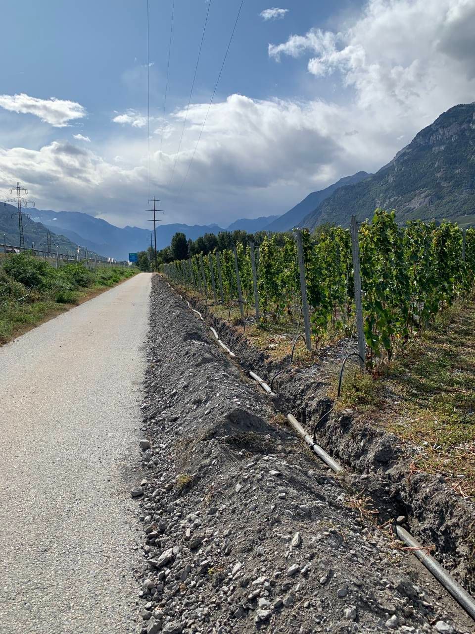 Chemin de gravier longeant un vignoble, montagnes en arrière-plan, ciel nuageux.