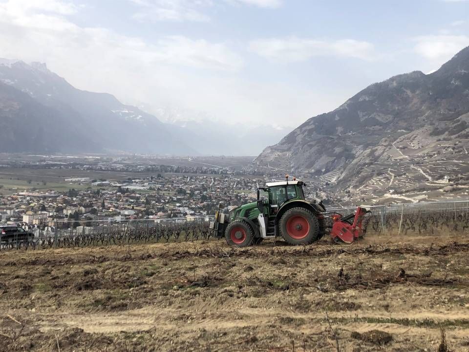 Un tracteur laboure un vignoble, avec une ville et des montagnes en arrière-plan. Ciel couvert.