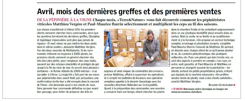 Article contenant un texte sur le greffage et la vente de vignes, ainsi qu'une photo d'une personne en train d'emballer des caisses.