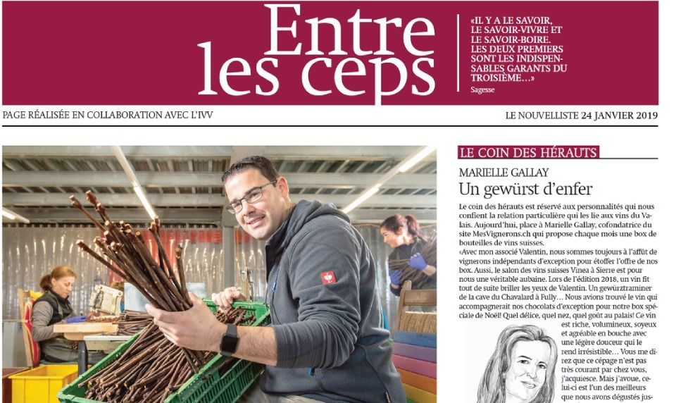 Homme tenant des vignes dans un entrepôt, article intitulé « Entre les céps ».
