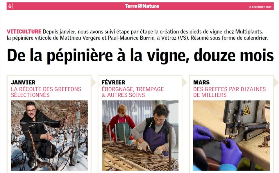 Article sur la viticulture. Trois photos en couleur montrent des vignes et des personnes au travail à différents mois de l'année.